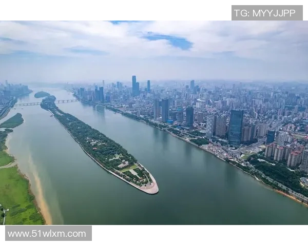 千叶市与东京的魅力对比探讨城市生活与文化差异